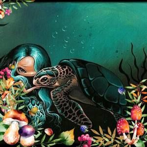 Meet your Posher, Elizabeth